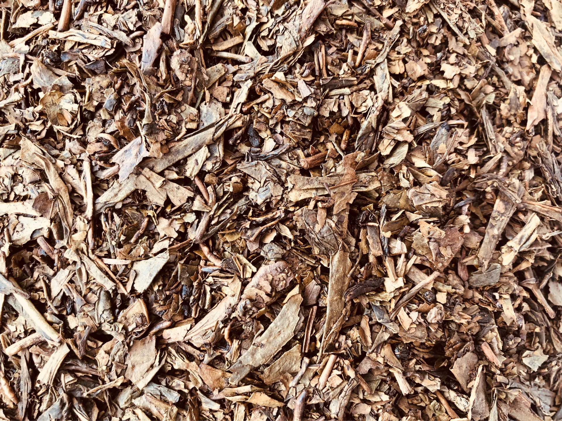 The low-caffeine tea you’ll love but don’t know it yet