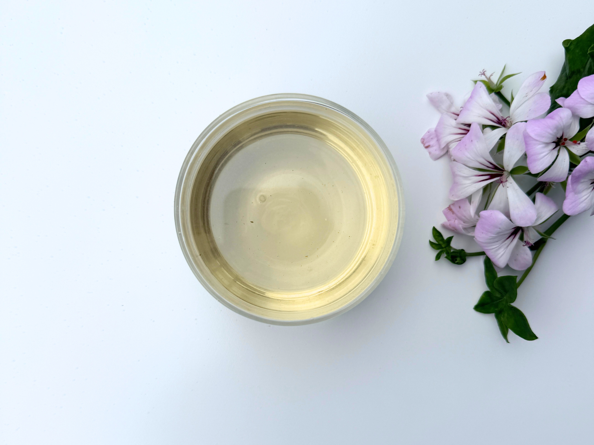 The fairest of them all: white tea